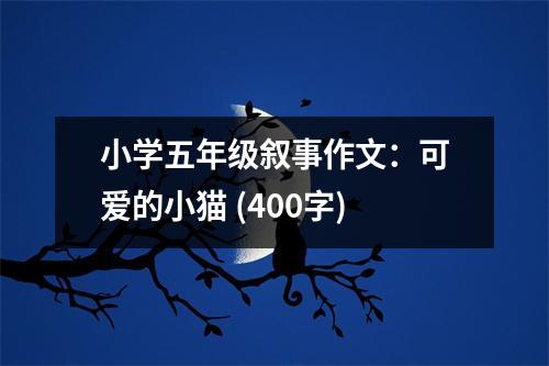 小學(xué)五年級敘事作文：可愛的小貓 (400字)