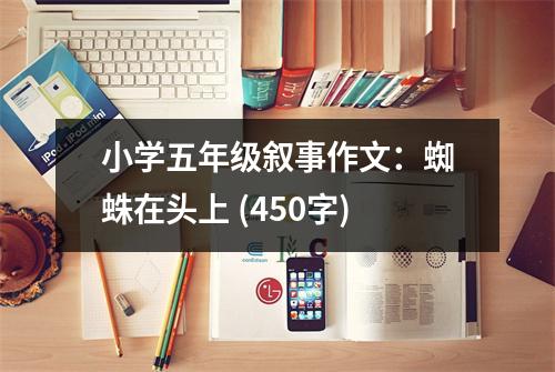小學(xué)五年級敘事作文：蜘蛛在頭上 (450字)