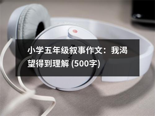 小學五年級敘事作文：我渴望得到理解 (500字)