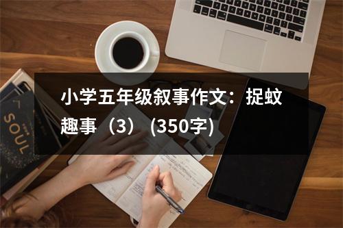 小學(xué)五年級敘事作文：捉蚊趣事（3） (350字)