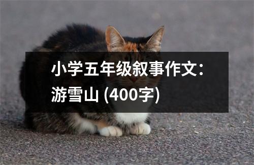 小學(xué)五年級敘事作文：游雪山 (400字)