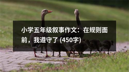 小學(xué)五年級敘事作文：在規(guī)則面前，我遵守了 (450字)