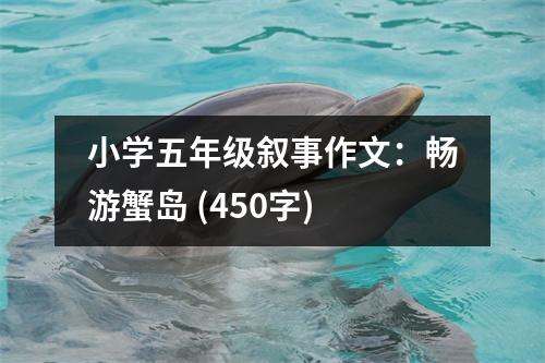小學(xué)五年級敘事作文：暢游蟹島 (450字)