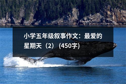 小學(xué)五年級敘事作文：最愛的星期天（2） (450字)