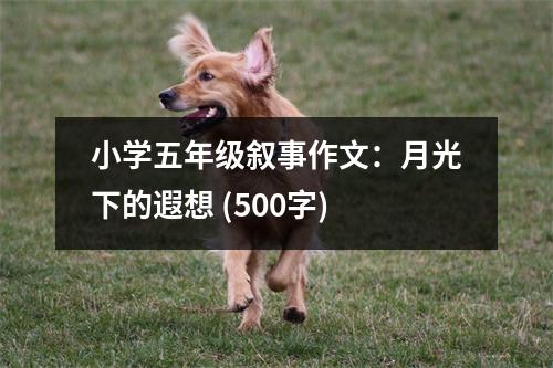 小學五年級敘事作文：月光下的遐想 (500字)