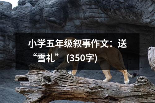 小學(xué)五年級敘事作文：送“雪禮” (350字)