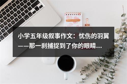 小學五年級敘事作文：憂傷的羽翼——那一剎捕捉到了你的眼睛 (400字)