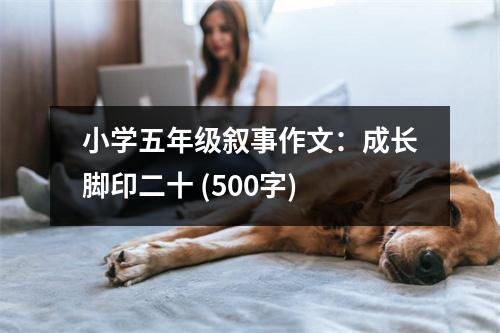 小學(xué)五年級敘事作文：成長腳印二十 (500字)