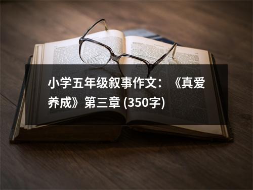 小學(xué)五年級敘事作文：《真愛養(yǎng)成》第三章 (350字)