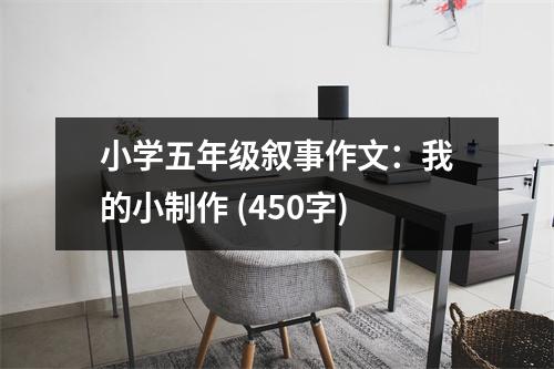 小學(xué)五年級(jí)敘事作文：我的小制作 (450字)