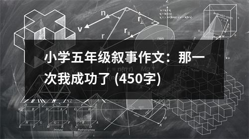 小學(xué)五年級(jí)敘事作文：那一次我成功了 (450字)