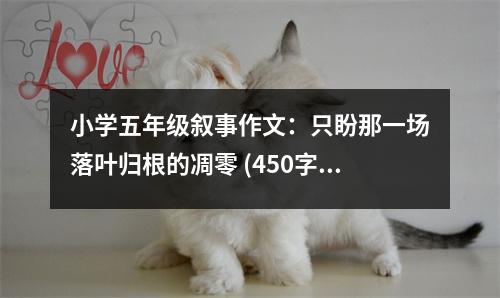 小學(xué)五年級敘事作文：只盼那一場落葉歸根的凋零 (450字)