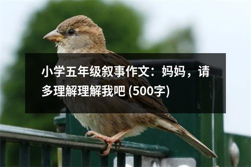 小學五年級敘事作文：媽媽，請多理解理解我吧 (500字)