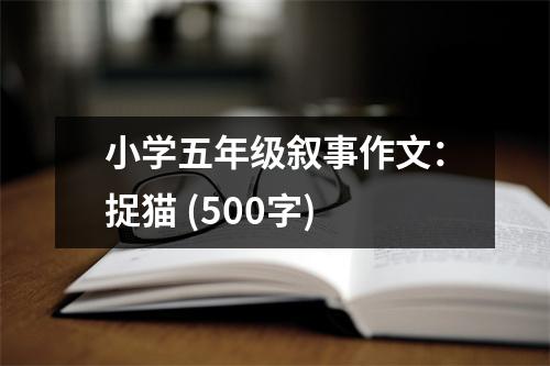 小學(xué)五年級敘事作文：捉貓 (500字)