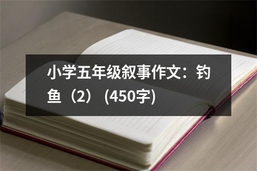 小學(xué)五年級(jí)敘事作文：釣魚(yú)（2） (450字)