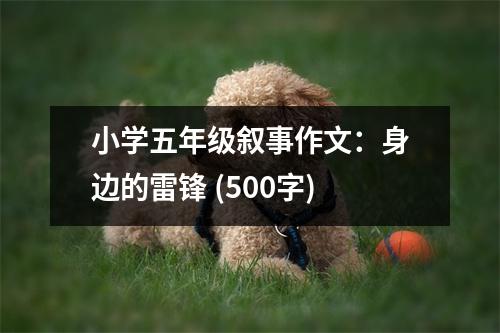 小學五年級敘事作文：身邊的雷鋒 (500字)