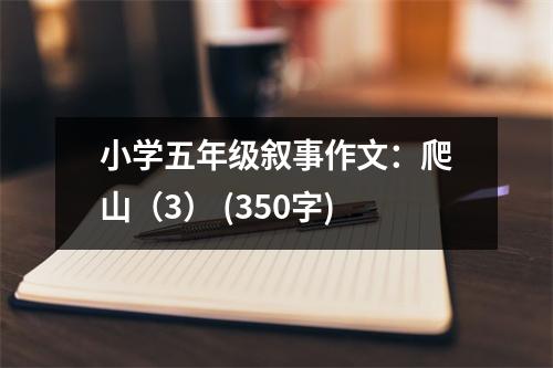 小學(xué)五年級敘事作文：爬山（3） (350字)