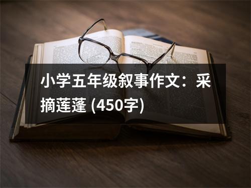 小學(xué)五年級(jí)敘事作文：采摘蓮蓬 (450字)