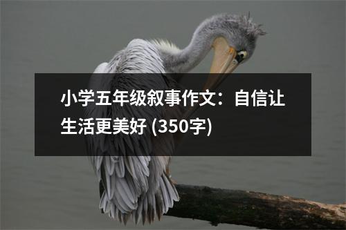 小學(xué)五年級敘事作文：自信讓生活更美好 (350字)