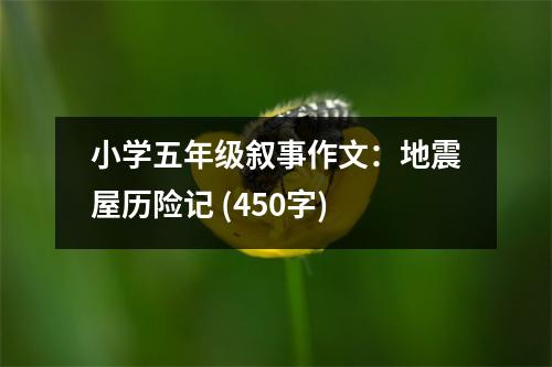 小學(xué)五年級敘事作文：地震屋歷險記 (450字)