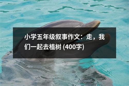 小學(xué)五年級(jí)敘事作文：走，我們一起去植樹 (400字)