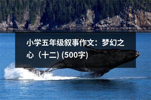 小學(xué)五年級(jí)敘事作文：夢(mèng)幻之心（十二) (500字)
