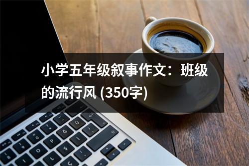 小學(xué)五年級(jí)敘事作文：班級(jí)的流行風(fēng) (350字)