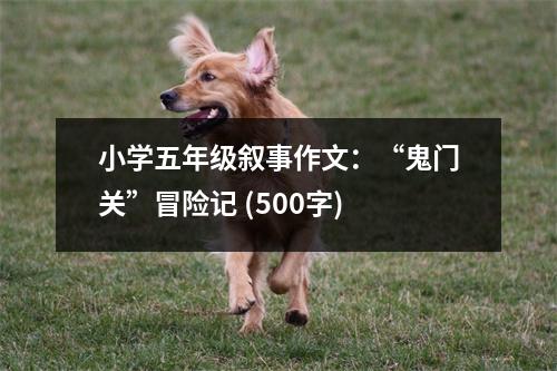 小學(xué)五年級敘事作文：“鬼門關(guān)”冒險(xiǎn)記 (500字)