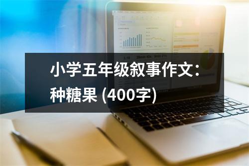 小學(xué)五年級敘事作文：種糖果 (400字)