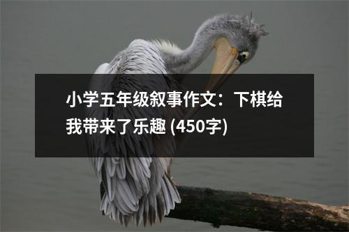 小學(xué)五年級敘事作文：下棋給我?guī)砹藰啡?(450字)