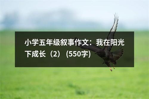 小學(xué)五年級敘事作文：我在陽光下成長（2） (550字)