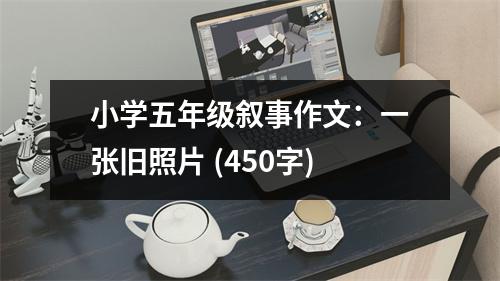 小學(xué)五年級(jí)敘事作文：一張舊照片 (450字)