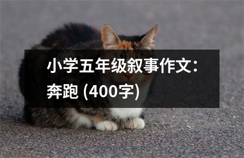小學(xué)五年級(jí)敘事作文：奔跑 (400字)