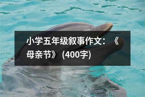 小學(xué)五年級(jí)敘事作文：《母親節(jié)》 (400字)