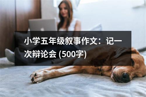 小學(xué)五年級(jí)敘事作文：記一次辯論會(huì) (500字)