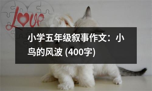 小學(xué)五年級(jí)敘事作文：小鳥的風(fēng)波 (400字)