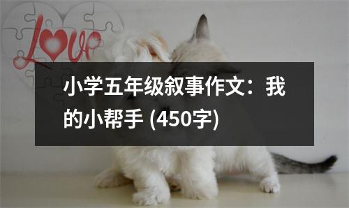小學(xué)五年級敘事作文：我的小幫手 (450字)