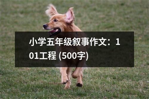 小學(xué)五年級敘事作文：101工程 (500字)