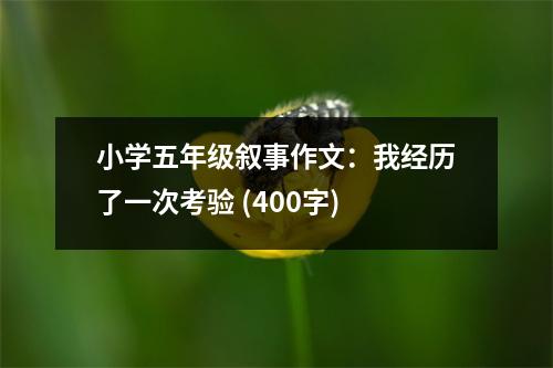 小學(xué)五年級敘事作文：我經(jīng)歷了一次考驗(yàn) (400字)