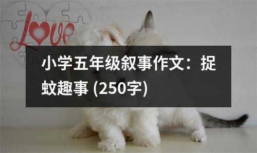小學(xué)五年級敘事作文：捉蚊趣事 (250字)