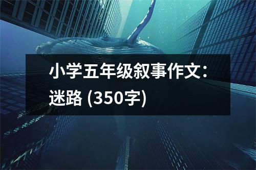 小學(xué)五年級敘事作文：迷路 (350字)