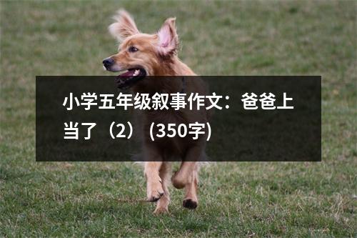 小學(xué)五年級敘事作文：爸爸上當(dāng)了（2） (350字)