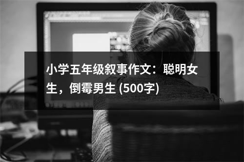 小學(xué)五年級(jí)敘事作文：聰明女生，倒霉男生 (500字)