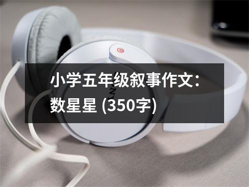 小學五年級敘事作文：數(shù)星星 (350字)