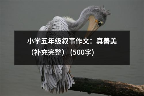 小學(xué)五年級(jí)敘事作文：真善美（補(bǔ)充完整） (500字)