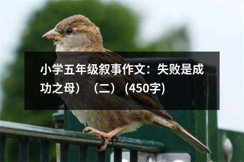 小學(xué)五年級(jí)敘事作文：失敗是成功之母）（二） (450字)