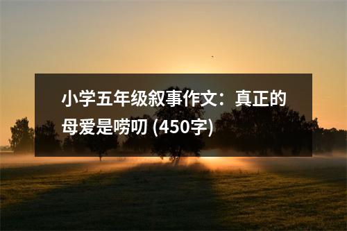 小學五年級敘事作文：真正的母愛是嘮叨 (450字)