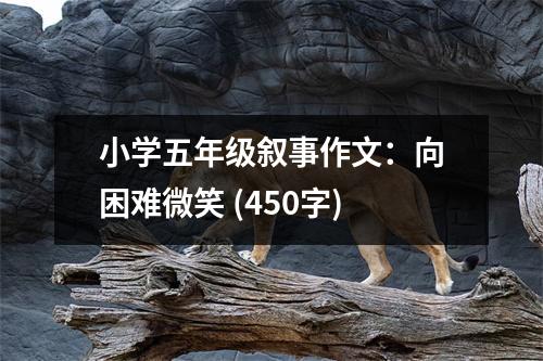 小學(xué)五年級(jí)敘事作文：向困難微笑 (450字)