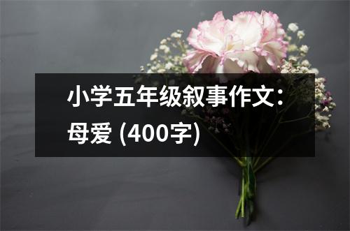 小學五年級敘事作文：母愛 (400字)