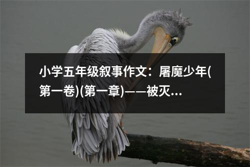 小學(xué)五年級敘事作文：屠魔少年(第一卷)(第一章)——被滅跡的村子 (450字)